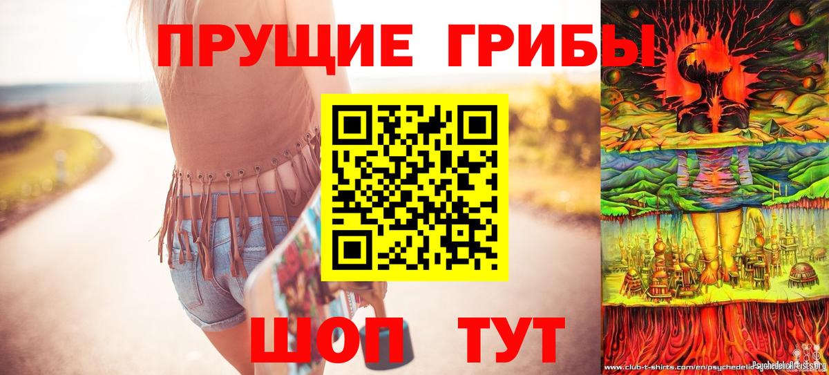 Псилоцибиновые грибы Magic Shrooms  Галлюциногенные грибы Psilocybine cubensis  Кимры  Вход с VPN 